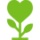 plant_1008493-g