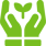 plant_4567965-g