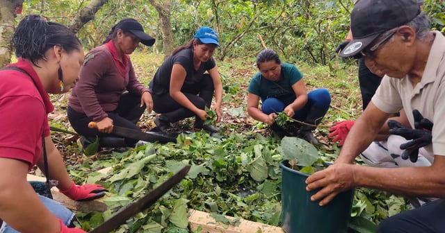 Indigenous farmers learning regenerative farming practices in the Farmer Field Schools