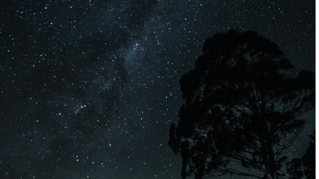 Woman sitting in nature