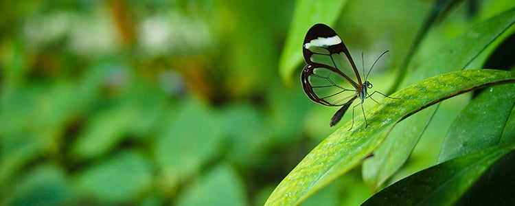 alisa-matthews-7A85gSX5eLE-unsplash-750x300