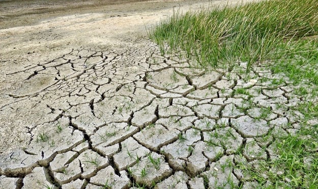 eroded soil with dry grass 