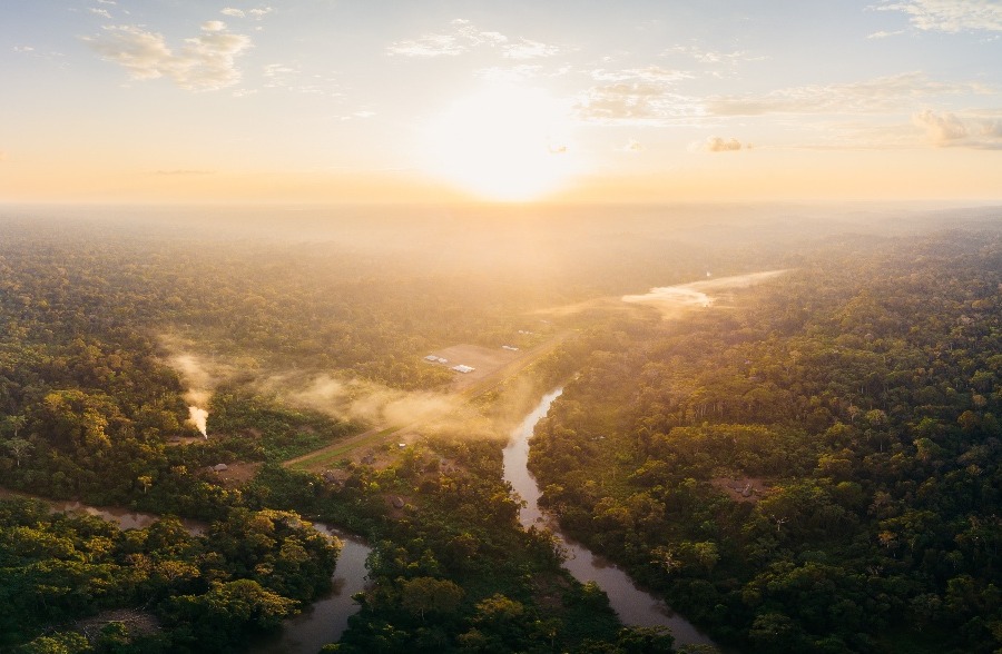 large sun setting behind amazon rainforest