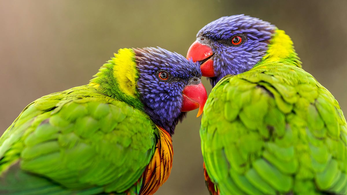 zdenek-machacek-5zsuqCUXtq0-unsplash-1200x675