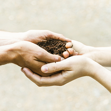 crop-hands-with-soil-355x355