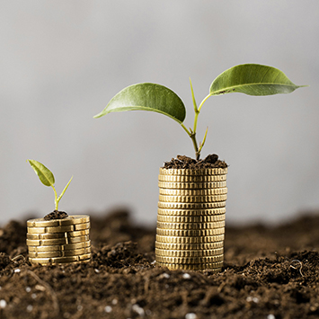 plants-with-coins-stacked-dirt-355x355