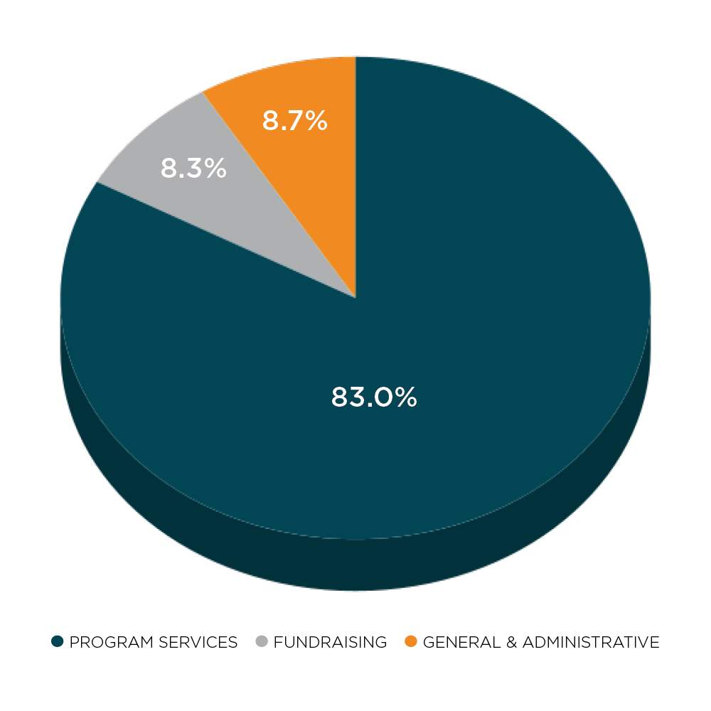 2024 Annual Report-financial statement-chart-audited