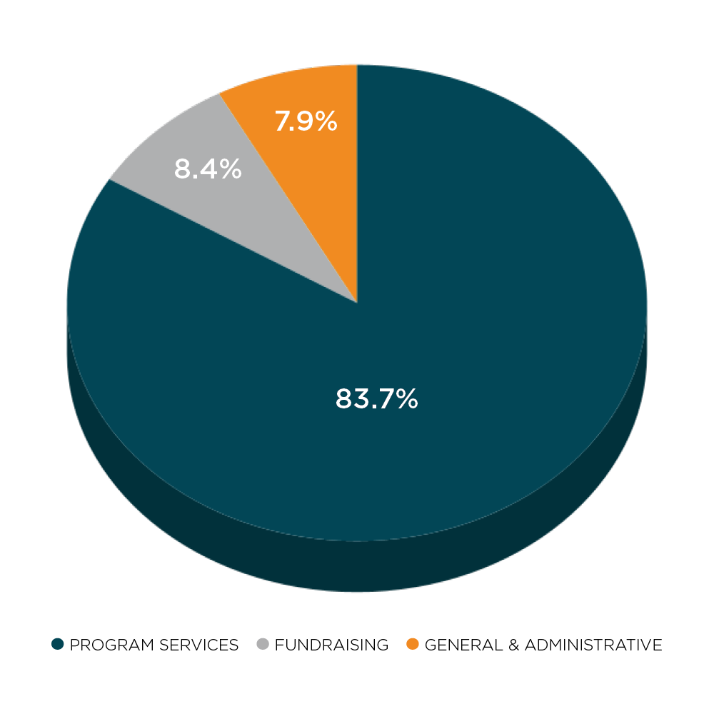 2024 Annual Report-financial statement-chart3