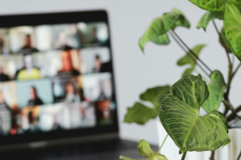 Computer screen with plant Computer screen with plant