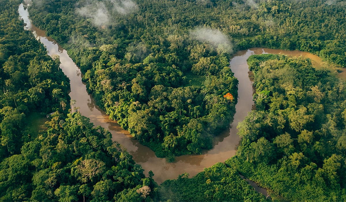 rainforest and river-1200x700 rainforest and river-1200x700