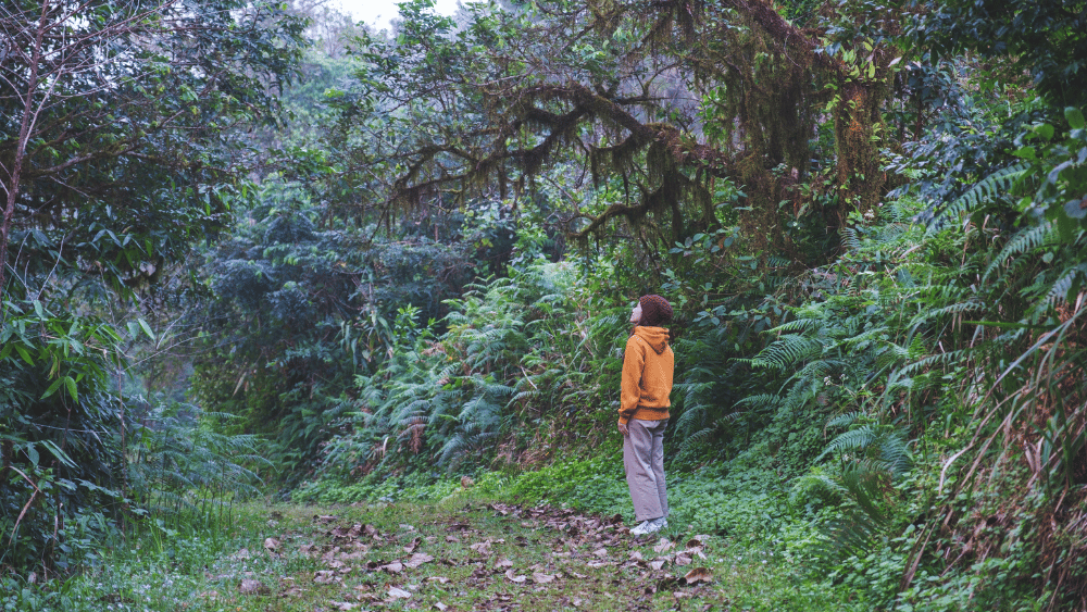 Young adult in woods