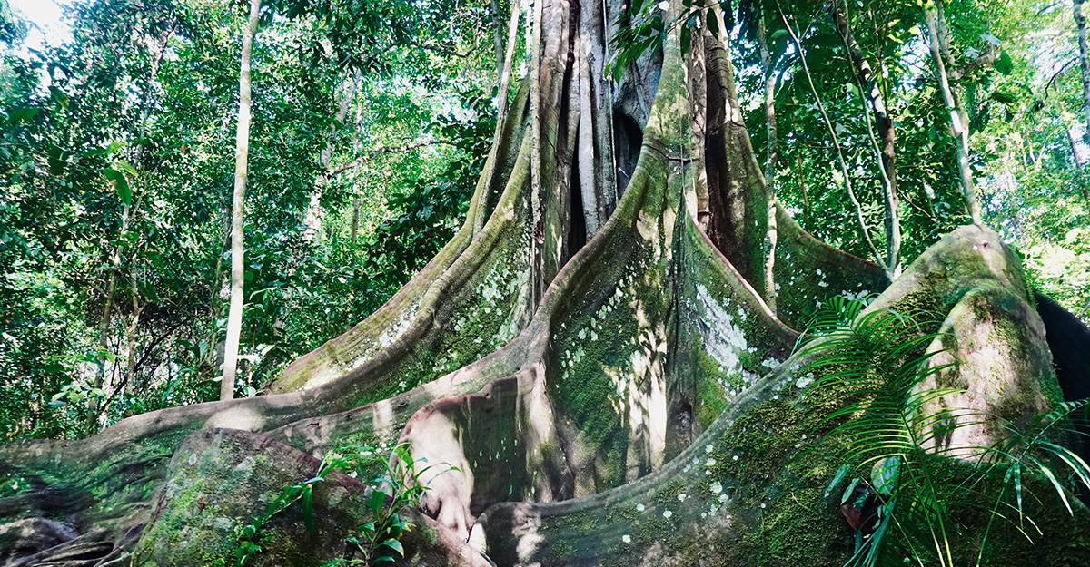 azzedine-rouichi-xf8zRIxIZ0A-unsplash-1200x625