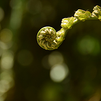 emme-kearns-M6cxKh__S_M-unsplash-200x200