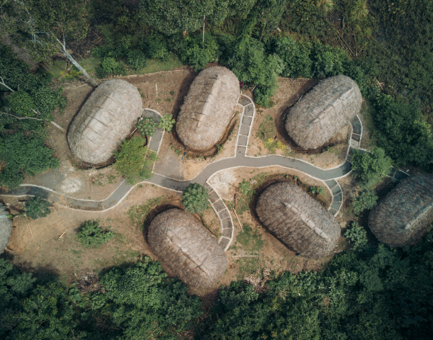 forests-and-climate forests-and-climate