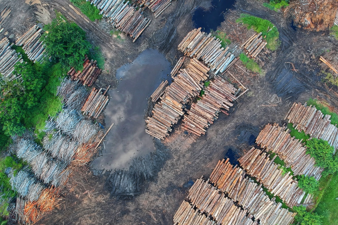 birds eye view of piles of logs 