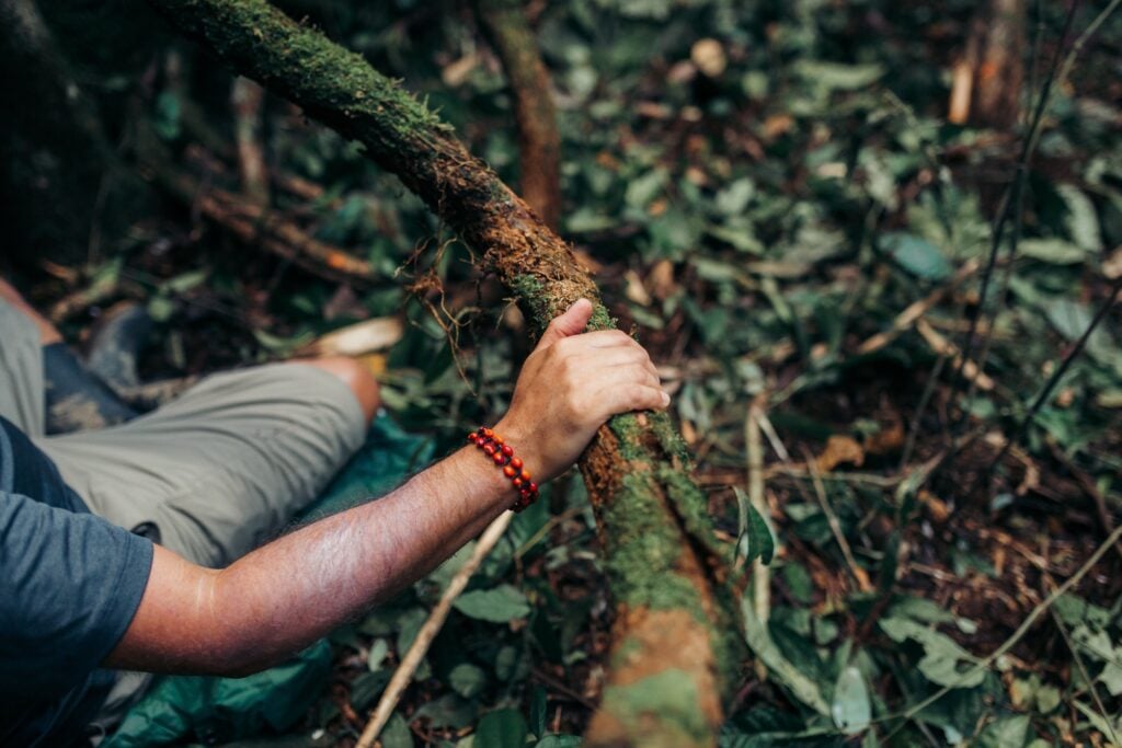 man's arm stretched out with hand holding onto tree branch